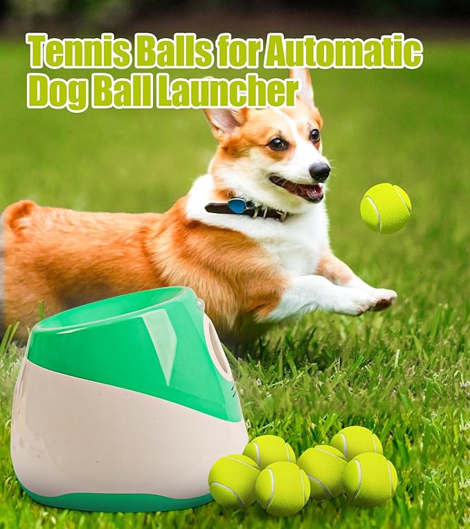 20 Pack Small Tennis Balls for Dogs, Easy Catching Pet Balls for Exercise and Fetch, 2-inch Dog Tennis Ball, Interactive Toys