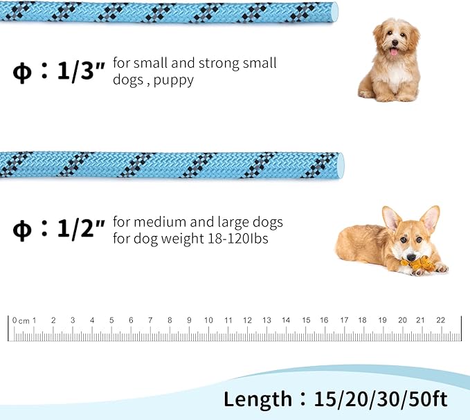 Long Dog Leash for Training 20Ft-Reflective Nylon Rope with Swivel Hook-Recall Agility Lead for Large Small Medium Dogs Outside Walking Hiking-Sky Blue Diam 1/2"