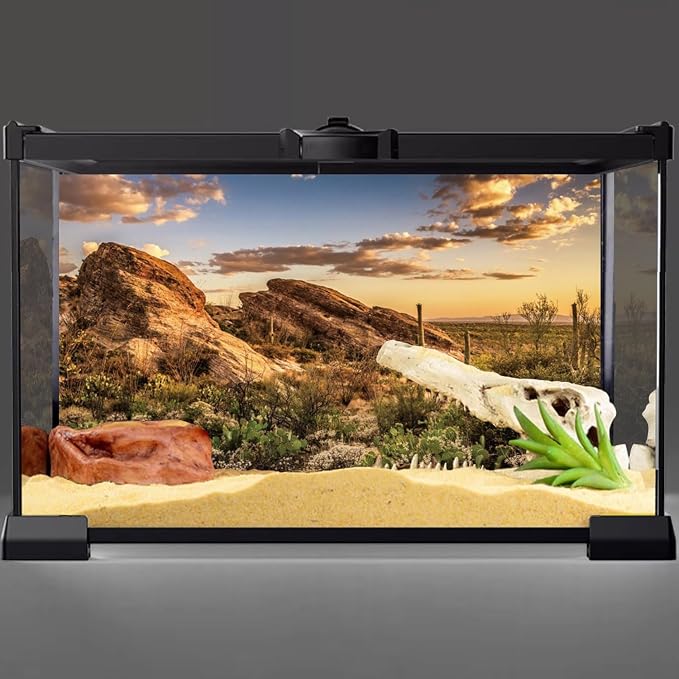 AWERT Reptile Habitat Background Blue Sky Oasis Cactus Sun and Desert Terrarium Background 36x18 inches Durable Polyester Background