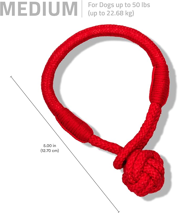 Playology Dog Toys | Tough Tug Knot for Puppies and Young Dogs | Beef Scented Medium Chew Toy Tug Rope | Tug of War Puppy Essentials