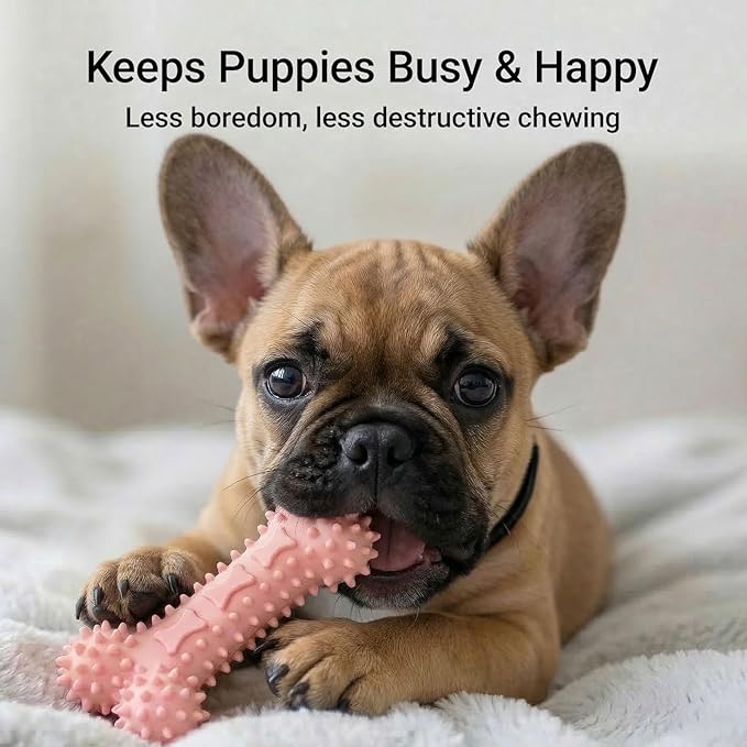 Puppy Chew Toys 6 Pack, Soft TPR Teething Toys for Puppies 2–10 Months, BPA Free Non Toxic Set with Treat Dispensing Stick, Tug Ring & Squeaky Ball for Small Medium Dogs (Pink)