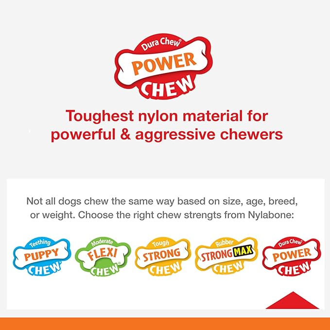 Nylabone Dental Dinosaur Power Chew Toy for Dogs, Dog Toys for Aggressive Chewers, Chicken Flavor, Small - Up to 25 lbs, 1 Count