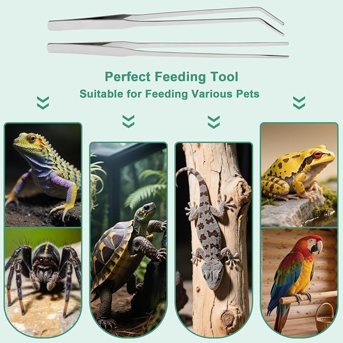 Syn-zer Reptile Feeding Tongs, 10.6" Straight & Curved | 2 Pcs Stainless Steel, Rustproof, Aquarium, Terrarium, Reptile, Bearded Dragon, Snake, Lizard, Crafts, Planting