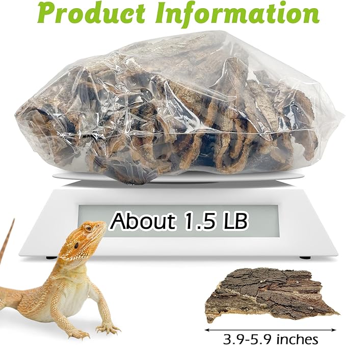 Reptile Cork Bark 1 Lb Flat Cork Wood for Terrarium Small Tree Bark Pieces 3.9-5.9in Natural Bulk Cork Bedding Tank Substrate for Bearded Dragon Snake Spiders Geckos Tortoise Hermit Crabs