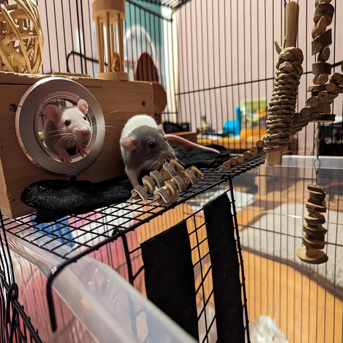 LWINGFLYER 6pcs Small Animal Chews Toy Natural Apple Wood Block Cage Hanging Molars Treats Snack for Hamsters Rabbits Bunny Bird Parrots Chinchilla Guinea Pig Gerbils Squirrels