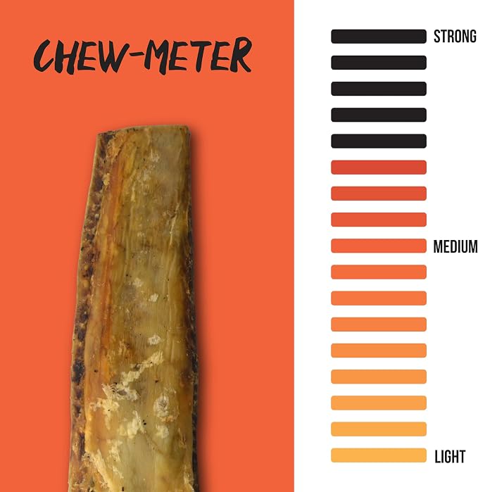 Grillerz Pork Bone, Rawhide Free, All Natural Dog Treat for All Breeds, Gluten Free, Long Lasting, Easy to Digest, For Adult Life Stages