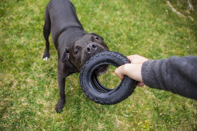 Mammoth TireBiterII – Natural Rubber Dog Toys for Extreme Chewers – Dog Toys for Extra Long Interactive Play – Aggressive Chewer Toys for Medium - Large Dogs - Large 6”