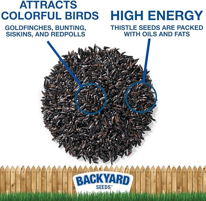 CountryMax Thistle Seed for Finches – Premium Wild Bird Food for Goldfinches, Siskins & Small Songbirds, High-Energy, No-Filler, Cleaned Seed