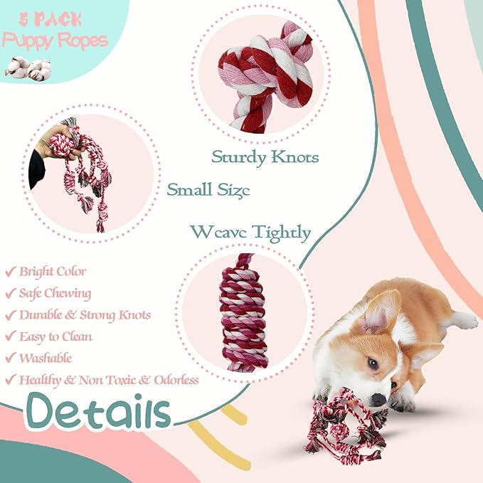 20Pcs Puppy Teething Toys for Small Medium Dogs - Cute Chew Toy Bundle Includes Plush Squeaky Toys, Rubber Ball, Rope Toy, TPR Bone, Dental Chew Ring - Interactive Dog Toy Gift with Storage Bag