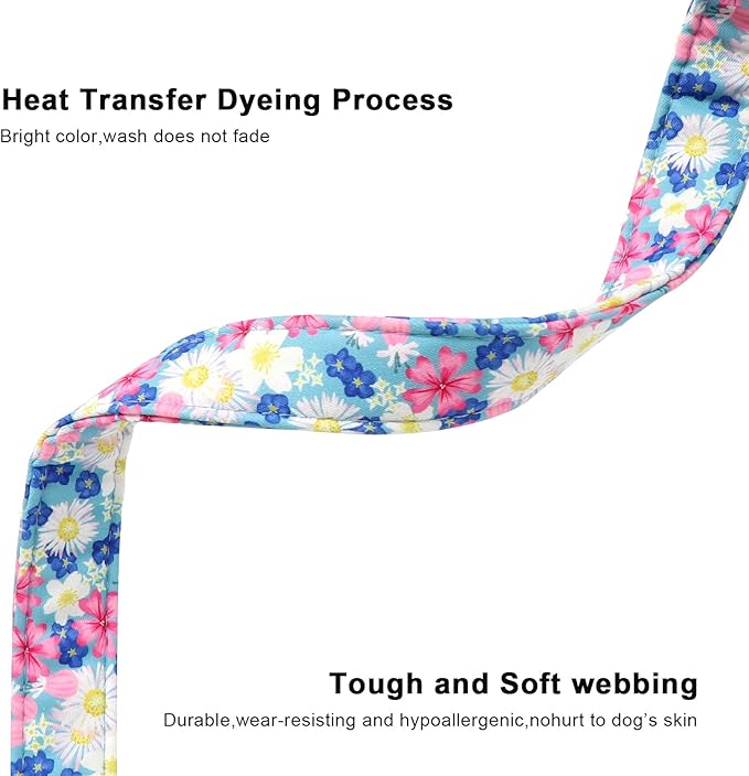 Lionet Paws Floral Dog Collar- Cute Spring Wildflowers Daisy Forget Me Not Dog Collars with Plastic Buckle,Light Adjustable Dog Collars for Small Dogs