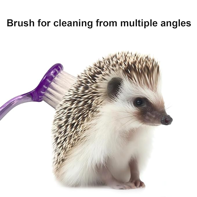 Hedgehog Bath Supplies Kit Hedgehog Bath Set Include Foldable Hedgehog Bathtub Cleaning Brush Nail Clippers Swimming Ring Towel for Small Animal