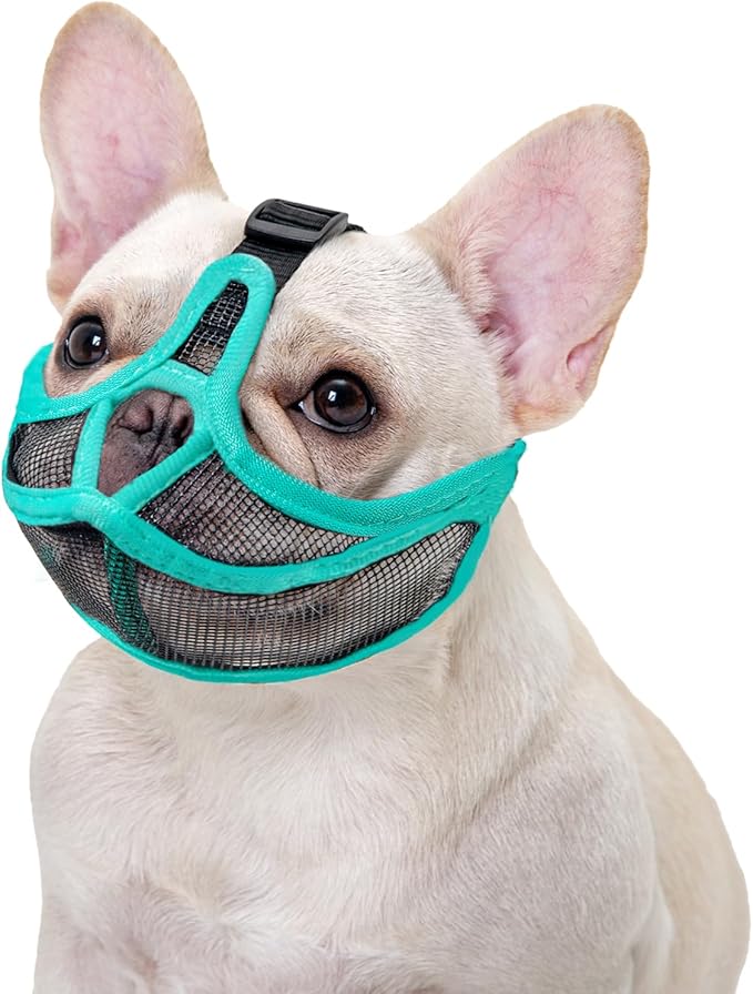 OHCOZZY Short Snout Dog Muzzle, Soft Breathable Mesh Bulldog Muzzle Won’t Cover Eyes, Prevent Biting Licking for Dogs(L,Green)