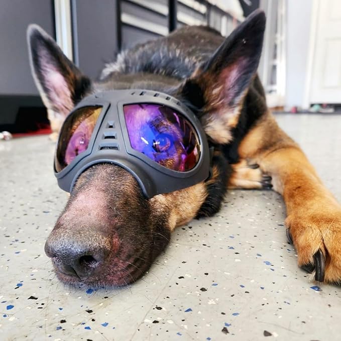 Namsan Clear Dog Goggles for Large Dogs, Wide Snout & Soft Frame, Tactical Driving Sunglasses for Dogs Medium to Large Breed, Anti-UV Dog Eye Protection, Windproof Dustproof, Adjustable, Clear Blue