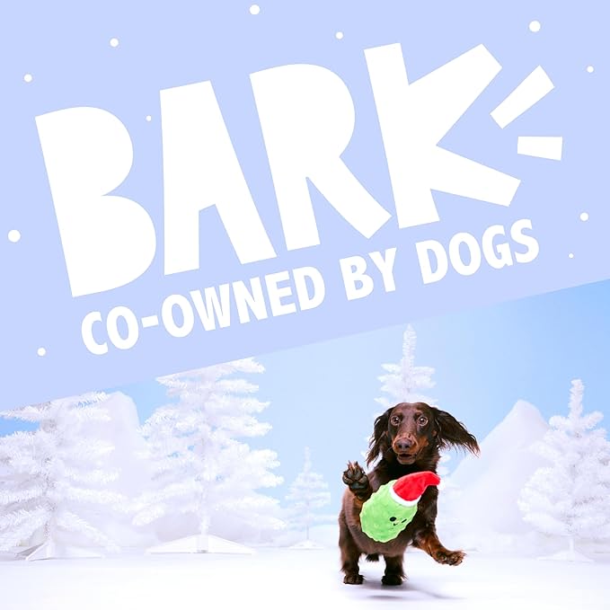 Barkbox Dog Advent Calendar – Holiday Gift Box with 8 Festive Plush Dog Toys & 16 Bakery-Style Treats – Squeaky, Fluffy & Crunchy Surprises for Small to Large Dogs