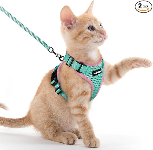 rabbitgoo Cat Harness and Leash for Walking, Escape Proof Soft Adjustable Vest Harnesses for Cats, Easy Control Breathable Reflective Strips Jacket, Green&Pink, XXS