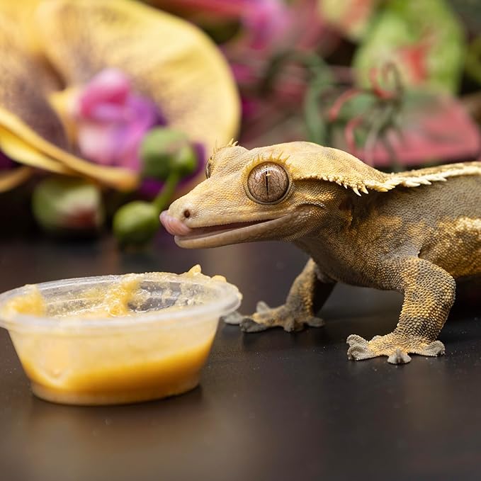 Pangea Fruit Mix with Insects Crested Gecko Complete Diet 1 lb