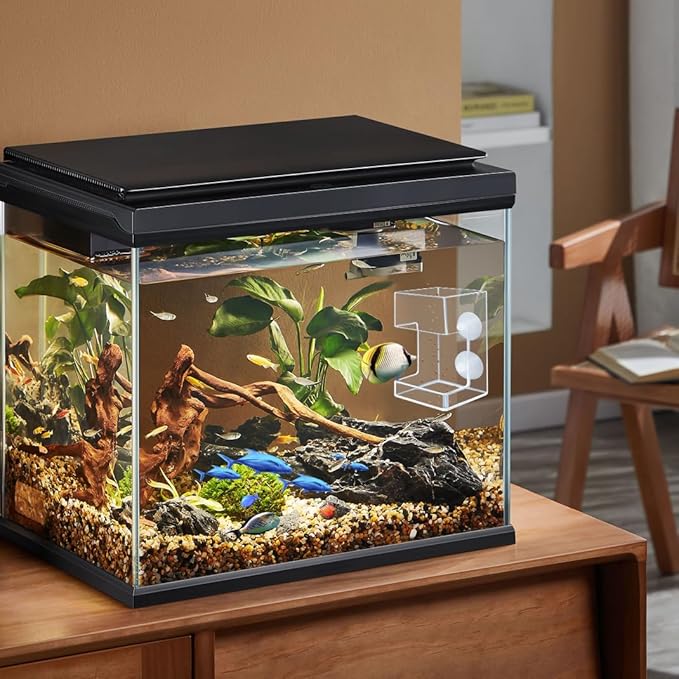Automatic Fish Feeder for Aquarium Suction Cup, Acrylic Automatic Feeding Ring with 2 Spoons,Clear Turtle Shrimp Feeder for Fish Tank(Square+Round)