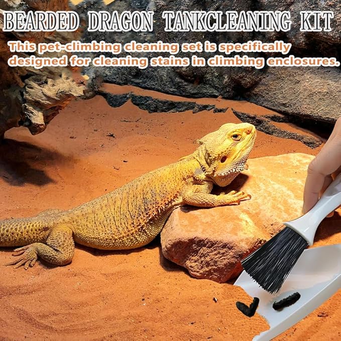 6-Piece Bearded Dragon Tank Cleaning Set, Reptile Enclosure Cleaning Tool Set with Bearded Dragon Nail Clippers&Cleaning Cloth, Brush, Scraper & Mini Dustpan for Lizard & Gecko Terrarium Maintenance