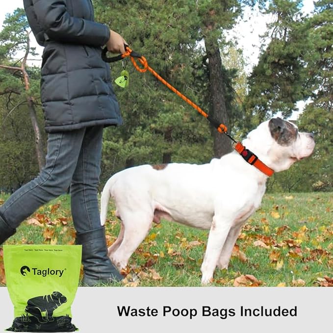 Taglory Rope Dog Leash 6 FT with Comfortable Padded Handle, Highly Reflective Threads Leash and Anti-Tangle Clip for Walking Medium Large Dogs, 1/2 inch, Orange