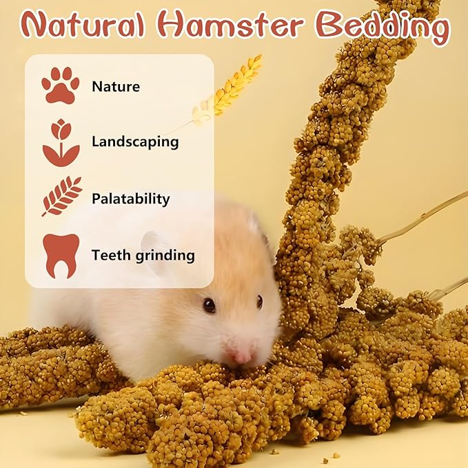 Fhiny Natural Hamster Sprays Edible Hamster Bedding Air-Dried Grain Set for Habitat Decor Mice Cage Accessories for Gerbils Lemmings Parrots Rats and Other Small Animals（0.2lb）