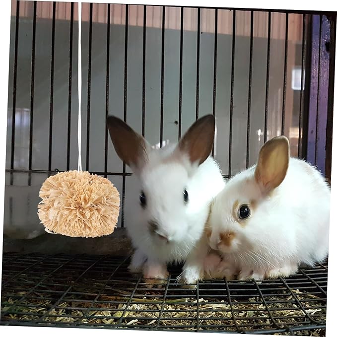 SUPVOX Bunny Chewing Balls 2.75 Inch Small Pet Molar Toys for Rabbits Guinea Pigs Hamsters Chinchillas Dental Care Chew Treats Set of 2