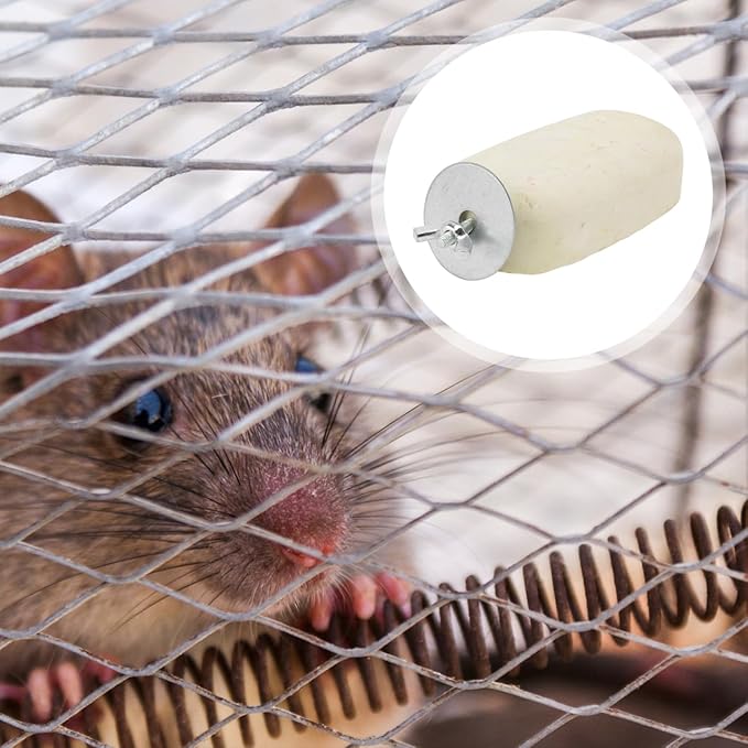 Toddmomy Hamster Cooling Stone Animal Calcium Grinding Stone Chew Toy for Hamster Squirrel and Other Pets for Health and Teeth Grinding