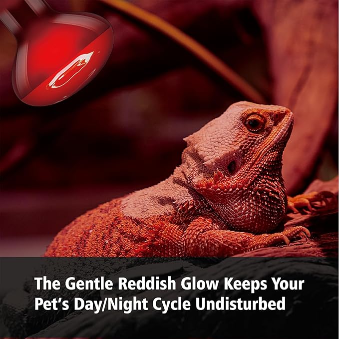 Reptile Heat Lamp Bulb 100W, 2-in-1 Infrared & UVA Sunlight Combo for Day & Night Basking – Perfect for Reptile Terrariums, Bearded Dragon, Snake, Turtle, Lizard