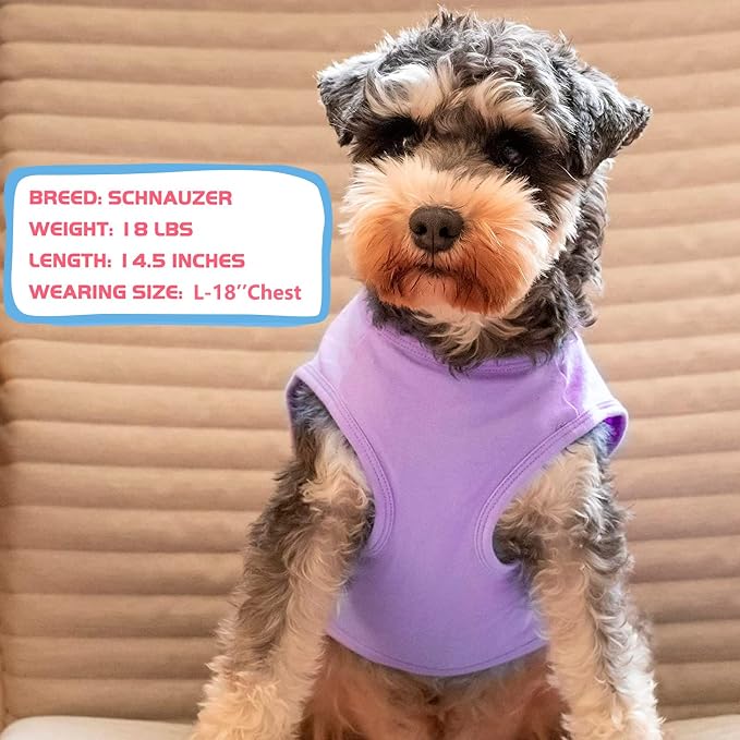 KYEESE 2Pack Dog Shirt, Soft Striped Dogs T Shirts, Lightweight Doggie Tank Top Cat Clothes, Sleeveless Dog Shirt for Small Dogs, Stretchy Pet Vest, Purple+Blue Striped, Small