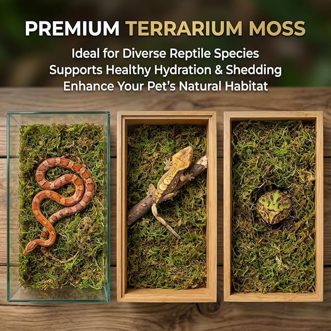 Sukh Sphagnum Moss for Reptiles -Terrarium Moss for Reptiles Peat Moss for Reptiles Habitat Bedding Moss for Snakes Turtle Frog Gecko and Other Reptiles Substrate (6.3, Ounces)