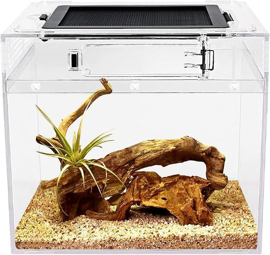 Reptile Growth mini Reptile Terrarium,8" x 8"x 8" Reptile Tank with Full View Visually Appealing，for Insect，Fish，Tarantula，Hermit Crab，Jumping Spider，Iguana，Tortoise，Leopard Gecko，Frog，Bearded Dragon