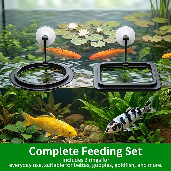 2PCS Fish Feeding Ring, Square and Round Aquarium Feeding Ring with Suction Cup for Betta Goldfish Guppy Turtle, Floating Fishes Feeder Rings for Fish Tank (Black)