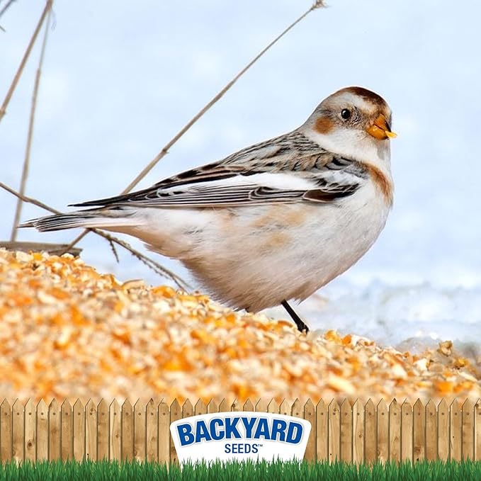 CountryMax Backyard Seeds Cracked Corn 50 lbs - High-Energy Animal Feed for Chickens, Squirrels, Deer & Wild Birds, Ground Feeding, High Protein