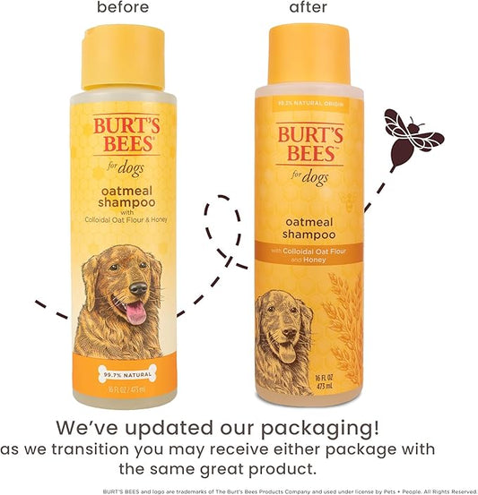 Burt's Bees for Pets Oatmeal Dog Shampoo with Honey, Soothing Formula for Itchy and Sensitive Dog Skin, Colloidal Oat Flour and Honey, pH Balanced, Sulfate-Free, 16 Fl Oz - 6 Pack