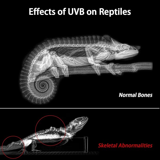 REPTITRIP 16-Inch LED UVB Reptile Light with Auto On/Off & Preset Day-Night Cycle Dimming, 4 UVI Modes Fixture Controller, 14W Aluminum UVA UVB Lamp for Bearded Dragons, Turtles & Snakes, 6500K