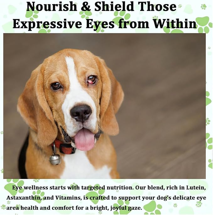 Cherry Eye Treatment for Dogs, Advanced Ocular Formula, Daily Vision Health Powder with Immune Support, Chicken Flavor, 4oz