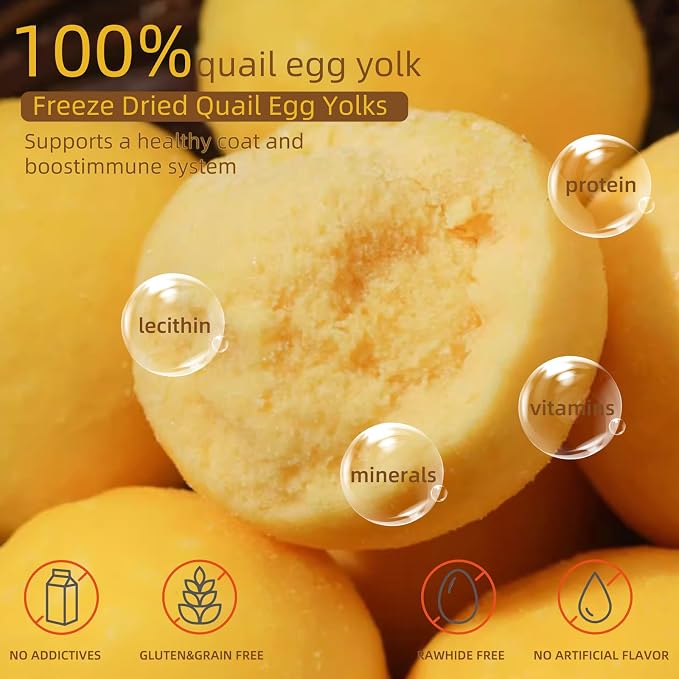 Freeze Dried Cat and Dog Treats Quail Egg Yolk, Healthy Tasty Snacks for Cats Dogs Training, Natural Freeze-Dried Limited Ingredient,Wholesome and Delicious Snacks for Pets (S, Quail)