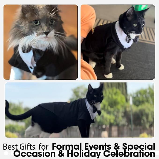 QBLEEV Cat Tuxedo Outfit with Bow Tie, Sphynx Cat Costume Formal Suit Wear | Soft breathable, stylish hairless clothes for cats only, kitten wedding birthday party shirt apparel for male boy
