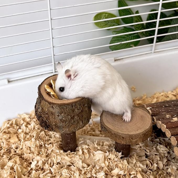 Apple Wood Feeding Bowl for Small Animals, Food Dish for Guinea Pig, Chinchilla Parrots