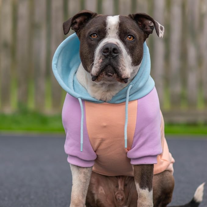 Spark Paws Dog Hoodie – Premium Dog Sweater for Small, Medium, and Large Dogs | Warm Outfits for French Bulldogs, Pitbull, Puppy, Winter Jacket Alternative - Cotton Candy - 2XL