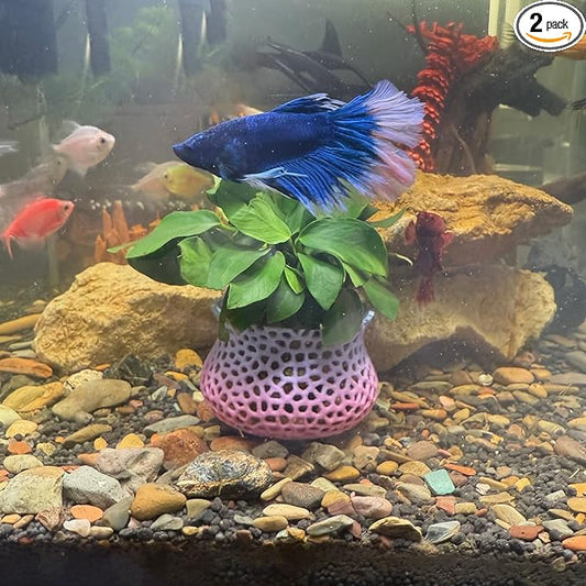 HOZOE Aquarium Submerged Plant Pot, Underwater Plant Anchor, Fish Tank Aquatic Plante, Aquarium Landscaping Decoration, Decorative Accessories - 2-Piece Set (Color)