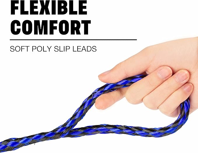 Downtown Pet Supply Braided Poly Slip Lead Dog Leash, 6 Pack, 5' Long - Universal Dog Leash with Metal O Ring - Durable for Groomers, Shelters, Rescues, Vets, or Doggy Daycares