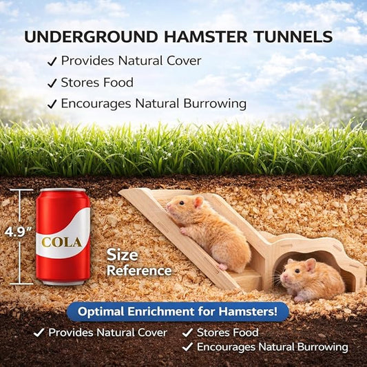 Small Size Hamster Explorer Set - Snap-Together Wooden Burrow with Panoramic Window, Natural Chew-Safe Design & Underground Activity Viewer for Cage Enrichment