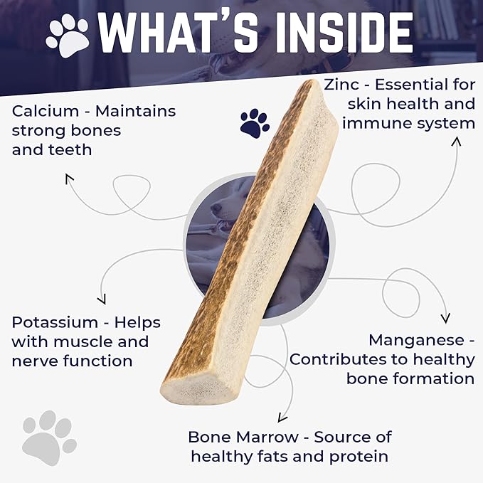 Devil Dog Pet Co. Split Elk Antlers for Dogs, Natural Dog Chew with Exposed Marrow - Long Lasting and Odor Free - USA Sourced - Cleaner Teeth, Anxiety & Boredom Relief - Medium 5"+ - Antler Bone