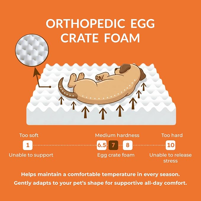 Muihood Wood Elevated Dog Bed Frame and Egg Crate Foam Mattress, Luxurious Suitable for Pets Up to 55 lbs, White, M