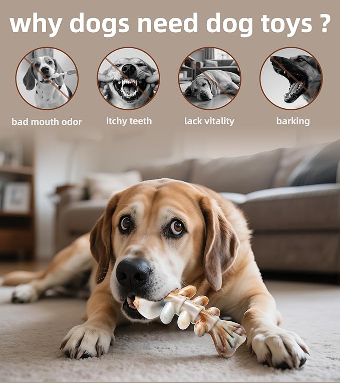 Tough Dog Toys Indestructible Dog Toys for Aggressive Chewers Real Beef Flavored, Dog Bone for Medium/Large Dogs Breed,Keep Your Dog Busy