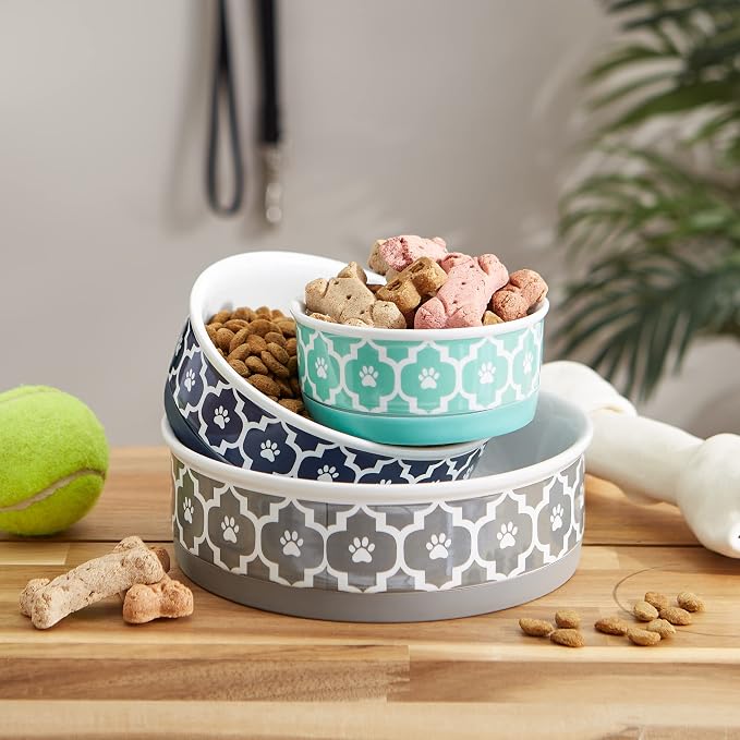 Bone Dry Lattice Collection Pet Bowl & Canister, Medium Set, 6x2", Aqua, 2 Count