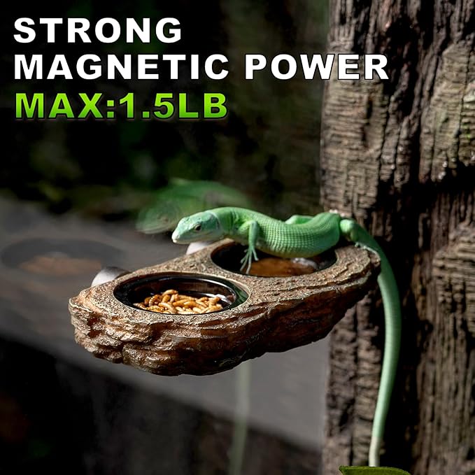 Magnetic Reptile Feeder Ledge, Crested Gecko Feeding Ledge with 6PCS Food Cups Reptile Food Dish Water Bowl Tank Accessories for Bearded Dragon Chameleon Lizard Snake
