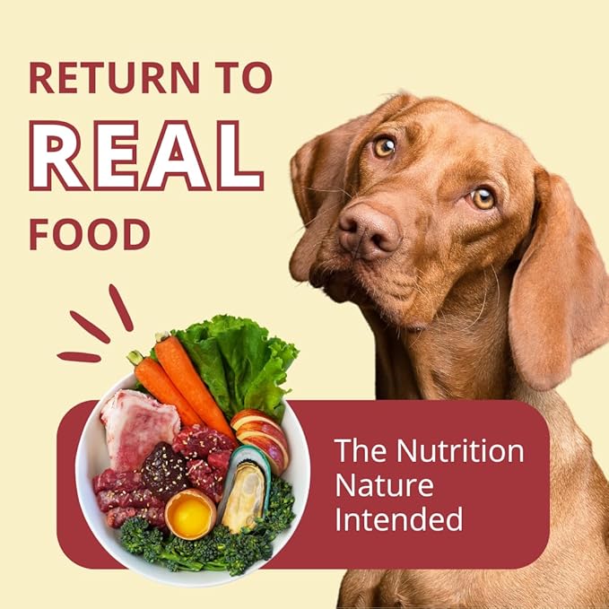 Steve's Real Food Freeze-Dried Raw Nuggets - Beef Recipe - Raw Pet Food for Dogs - 20 oz