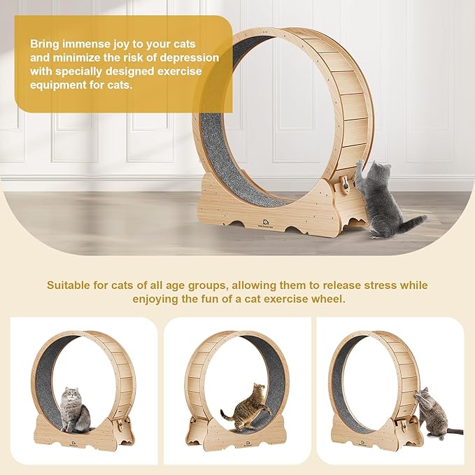 Cat Exercise Wheel, 53" XXL Large Cat Treadmill with 7:3 Golden Ratio Design, Quiet and Sturdy Running Wheel with Detachable Carpet for Indoor Cats