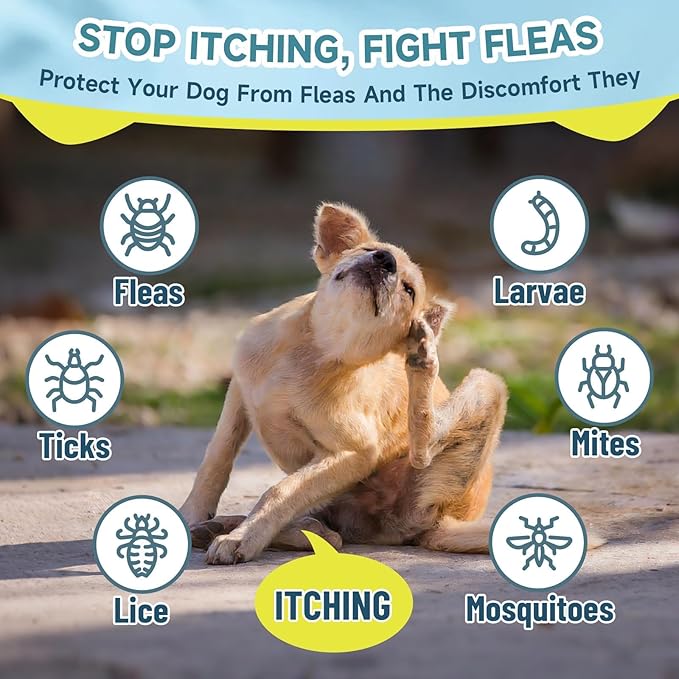Flea and Tick Prevention for Dogs Itching Skin Relief, 200 Chewable Flea and Tick for Dog with Skin & Coat Support, Itch Relief for Dogs, Oral Supplement for All Breeds & Ages, Chicken Flavor